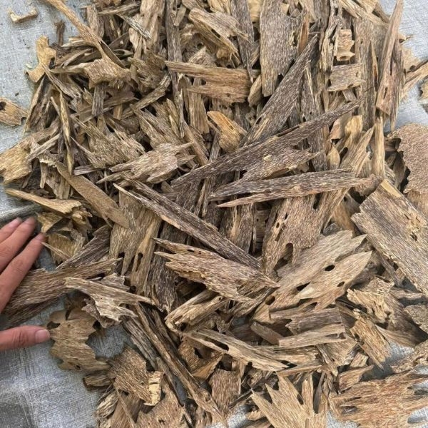 Trầm Hương Tự Nhiên xông đốt trong Lư