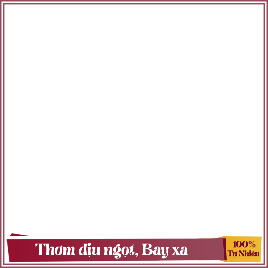 Nhang Trầm Hương Duy Tâm (8 Năm) – Loại Ngắn 20cm/Hộp 200 Cây